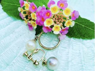 取り出した真珠はアクセサリー加工も承っております♪