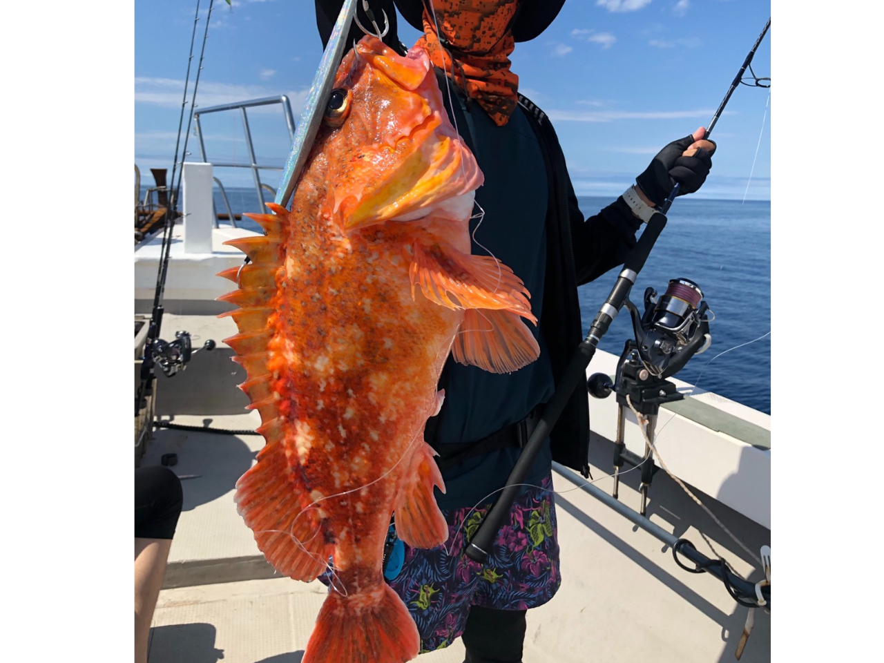 ≪福井×若狭≫ 1日便(エサ釣り)釣りポイントまでクルージングも楽しめる★