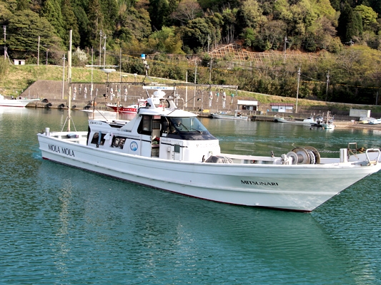 【コロナ対策強化中】4~7月タイ釣り!福井×若狭★|8時出航~日没まで!釣りポイ...