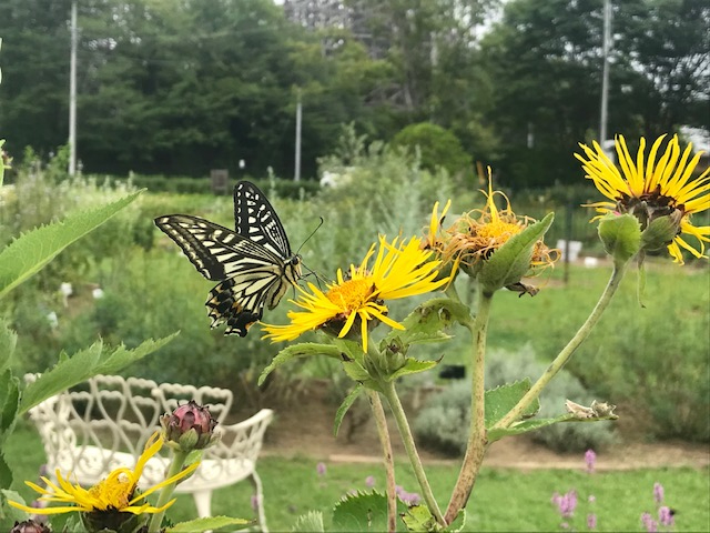 Lb`n[u~gAA}es[Ȃ8ނ̋ɕĂ܂BāAGāAĖ̃n[uB