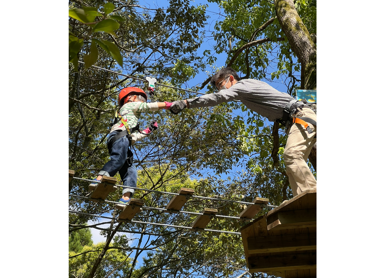 �e�q���J�����[���Ȃ邩���H�H