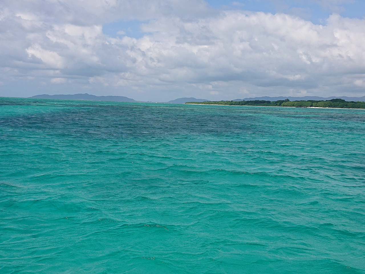 `|Cg܂ł͂̂тČiFy݂|x␼\AlȂǑR̓X𒭂߂邱Ƃo܂B