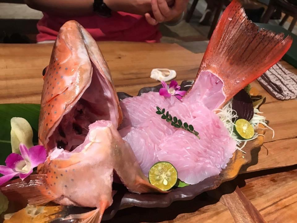 釣り上げたお魚は提携の居酒屋にて、様々なメニューで頂くことができます。 お刺身はもちろん、唐揚げや、マース煮など、自分で釣った魚は格別です！※要予約