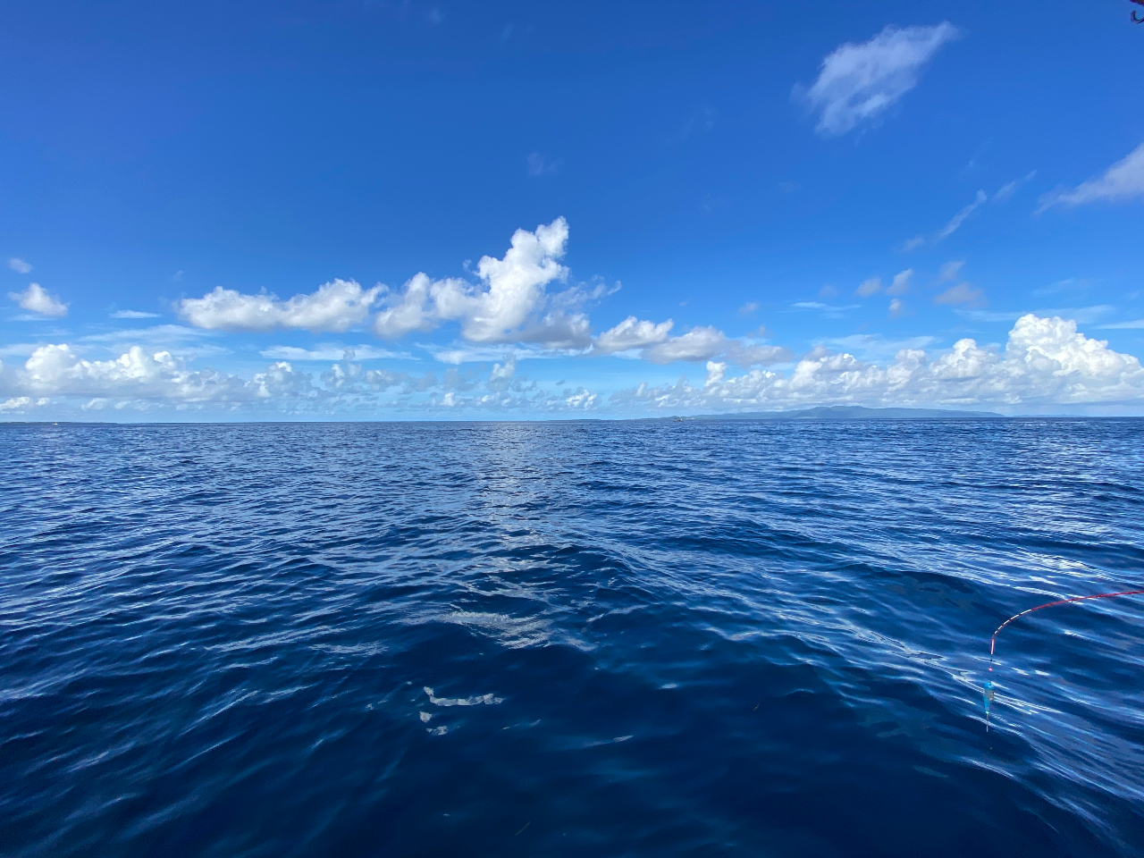 `|Cg܂ł͂̂тČiFy݂ |x␼\AlȂǑR̓X𒭂߂邱Ƃł܂B