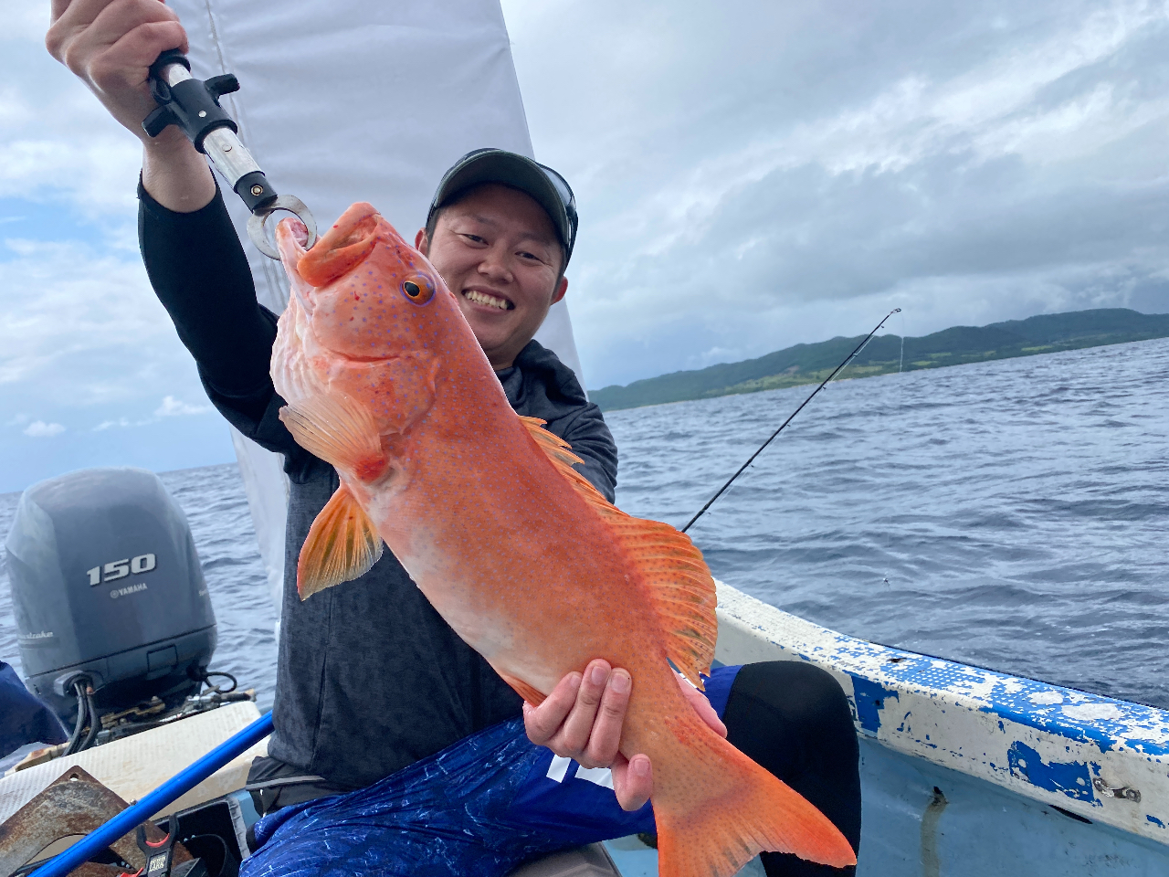 �h�[���I�I�I���܂����啨�u�A�J�W���v����O�卂�����̈�ł��B�^���悯��΃r�M�i�[�̕��ł��ނ�グ�邱�Ƃ��o���܂����