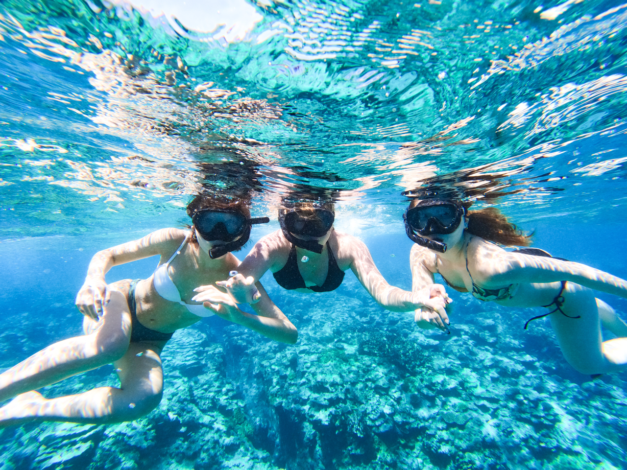 Xł̓Vm[PZbg^IȂוłp\ł