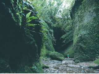 神秘と癒やしのパワースポット