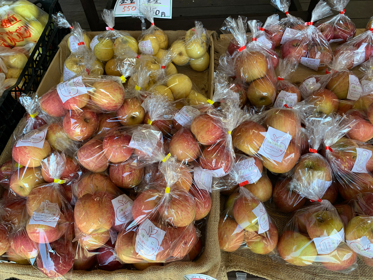 ̔ł͑ܓ̂񂲂̔Ă܂B^C~O΂p⃌AȂ񂲂ɂo܂B