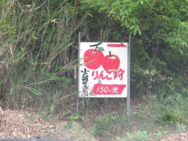 cɂȂ̂ł킩ɂłBFXȂƂɊŔݒuĂ܂BEH[[Tł͂܂񂪁Auΐό񂲉v̊ŔTI