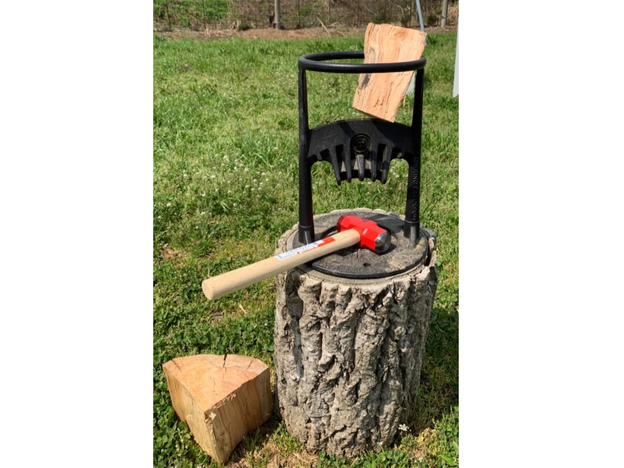   ����Őd����Ƀ`�������W�I�X�p�`���Ɗ����ƋC���������B�v�킸���肵���Ⴂ�܂��B�d�͂�񂲂̊Ԕ��ނł��B