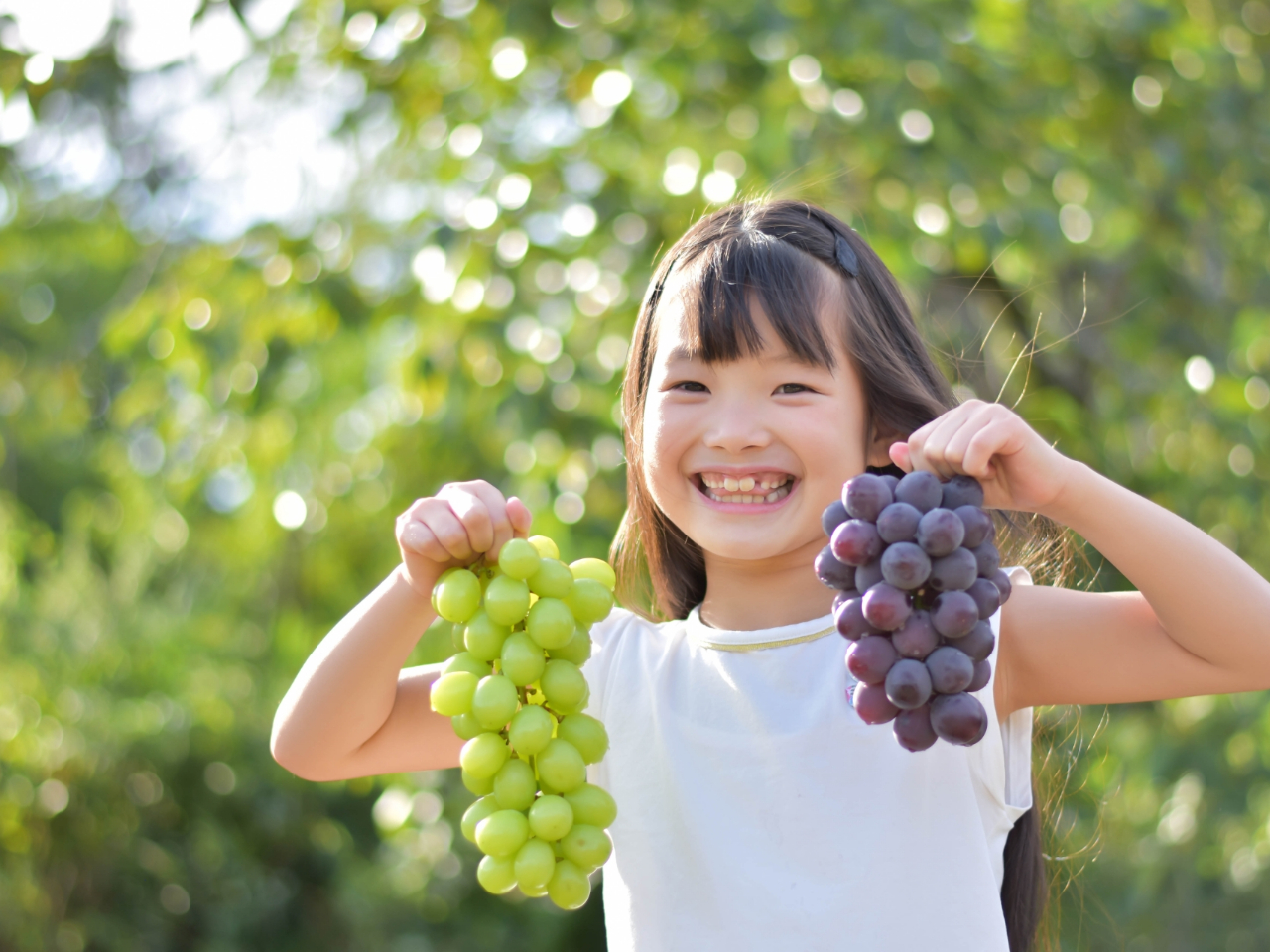 犬連れok 巨峰食べ放題 一古園の口コミ じゃらんnet 犬連れok 巨峰食べ放題 一古園の口コミ じゃらんnet