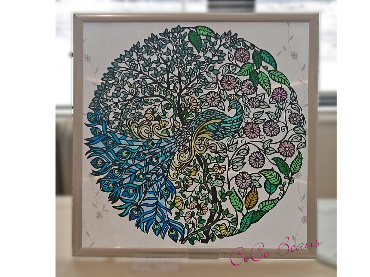 2017N@Ⴍ(Ђ݂̉ԉ)