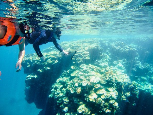 1組様貸切 今だけ 特別価格 宮古島 シュノーケリングツアー 写真データ無料 熱帯魚やサンゴ礁と思い出作り 宮古島sup Style じゃらん遊び体験 1組様貸切 今だけ 特別価格 宮古島 シュノーケリングツアー 写真データ無料 熱帯魚やサンゴ礁と思い出作り 宮古島sup Style じゃらん遊び体験