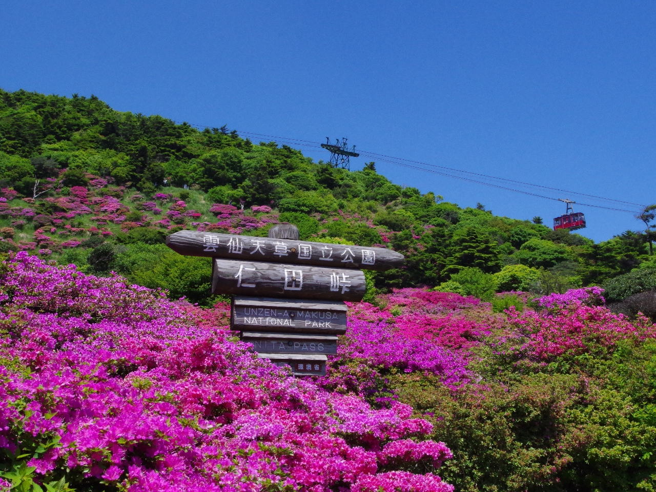 ��Ϸؼς̋G�߂ł���