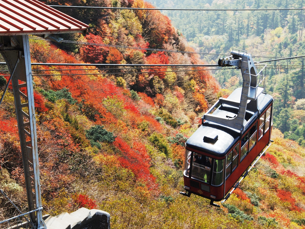 �����W�]�䂩�猩����g�t