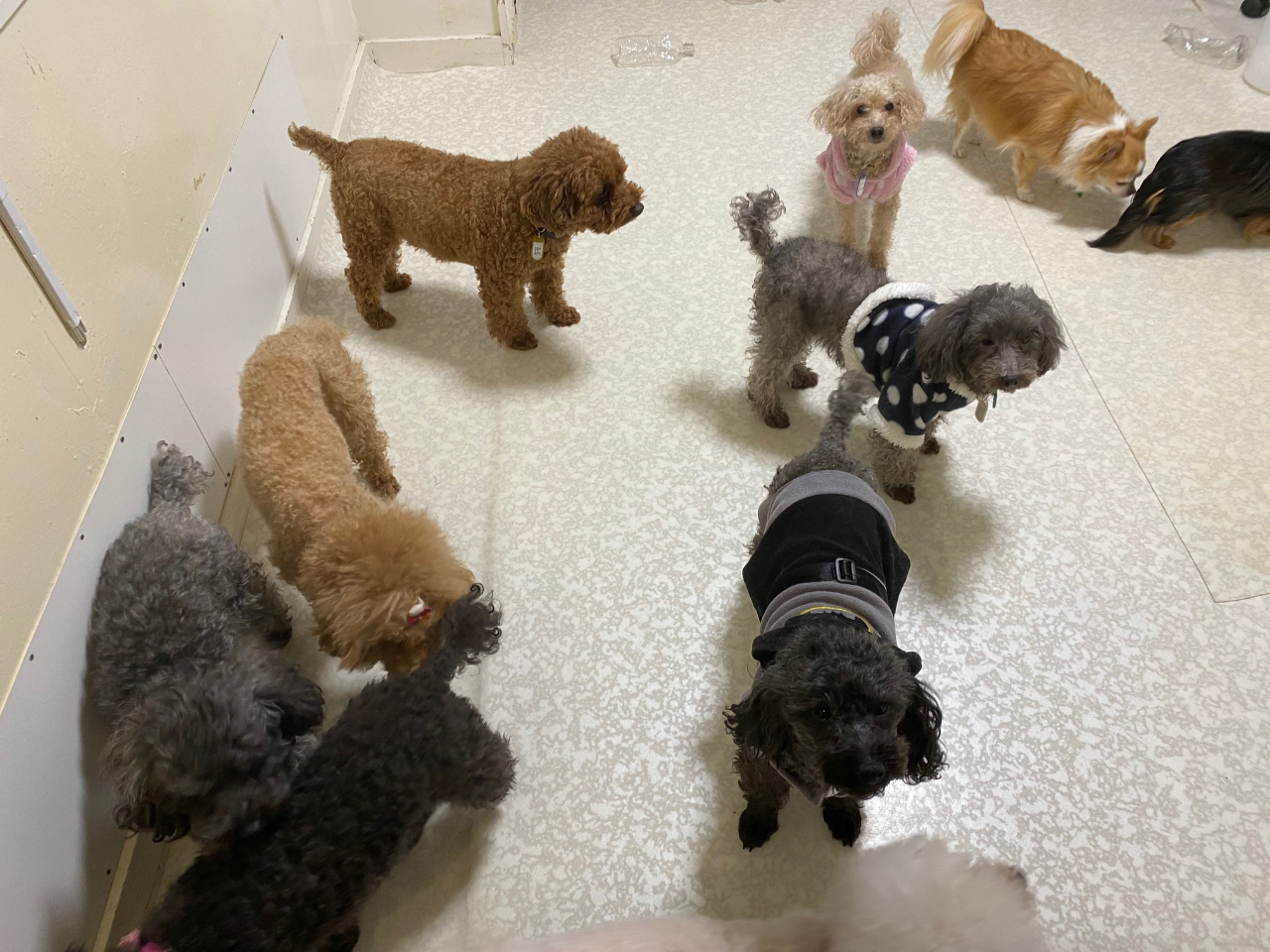 Tx̍~ł̃RƂӂꂠł܂B