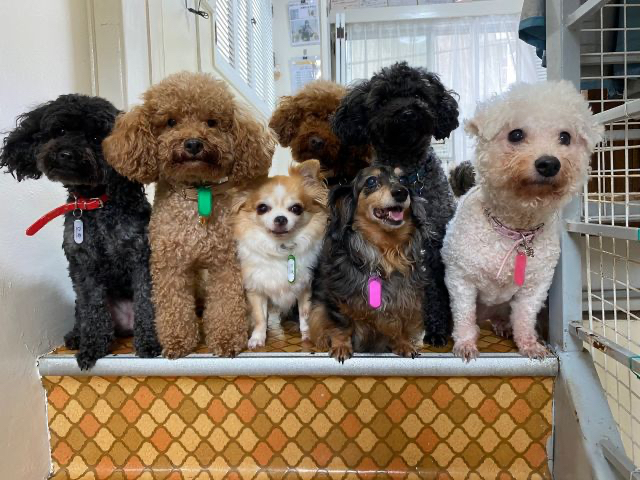 ��������Ⴂ�܂��`�I�I�劽�}�ł��}�����܂��B