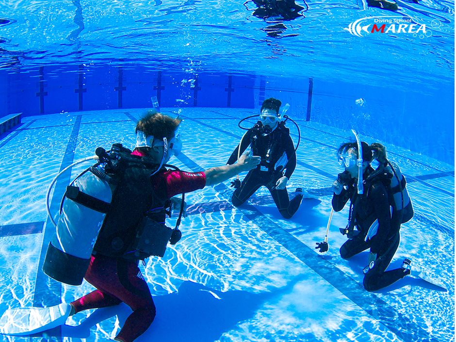 ^Ѓ_CrOv[łKł̓XȂł́I