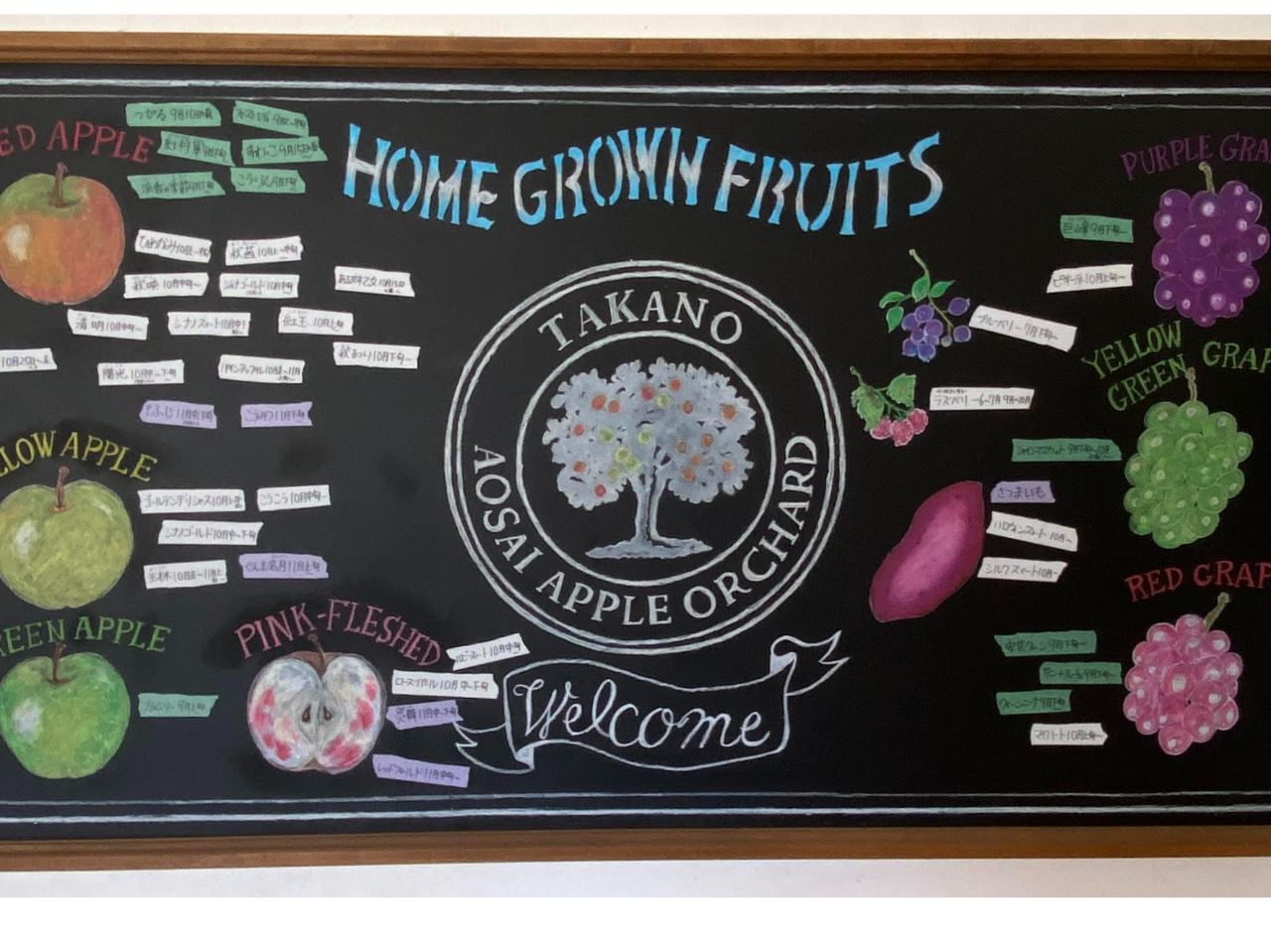 我が家で楽しめる品種です。もちろんリンゴ!ブドウにサツマイモ