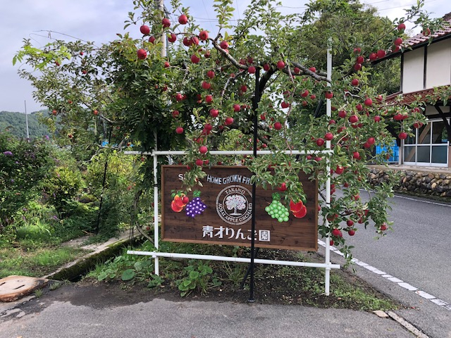 この看板を目印に。kの看板を背に記念撮影ポイントに。にしび板を目印に。kの看板を背に記念撮影ポイントに。西日が顔を明るく照らします