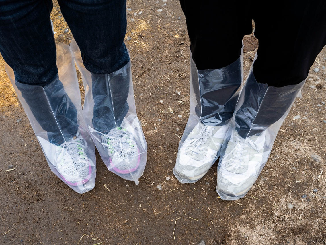 qꌩwpɁACJo[pӂĂ܂B