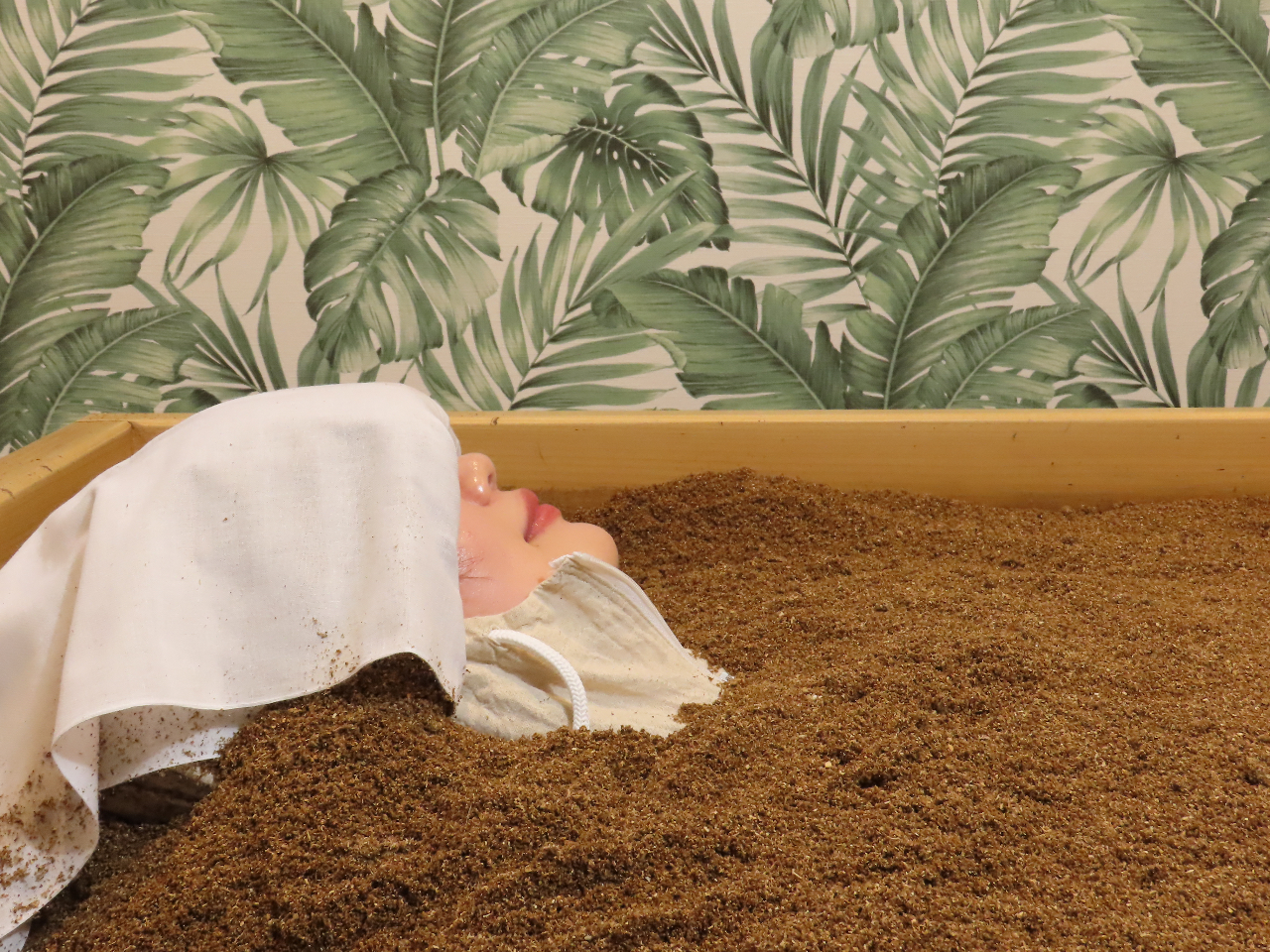 قpbNT[rXĂ܂B ڌ߂邱ƂŁAᐸJɂʓII ÂȂ̂ŃbNXē鎖\łB