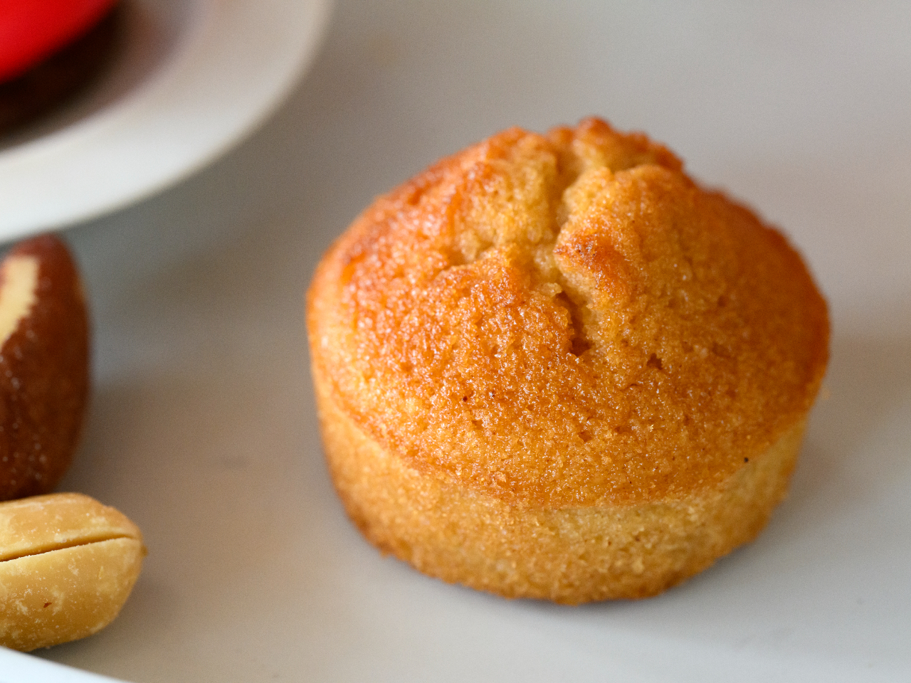 ƂI悹ĂƂƏĂグtBiVFB