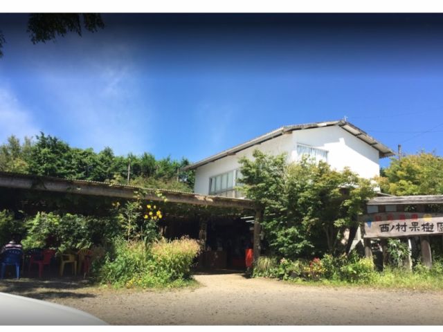 宮崎 小林市 リピーター多数 アットホームな農園で梨狩りを楽しみませんか 00円分チケットプラン 西ノ村果樹園 じゃらん遊び体験 宮崎 小林市 リピーター多数 アットホームな農園で梨狩りを楽しみませんか 00円分チケットプラン 西ノ村果樹園 じゃらん遊び体験