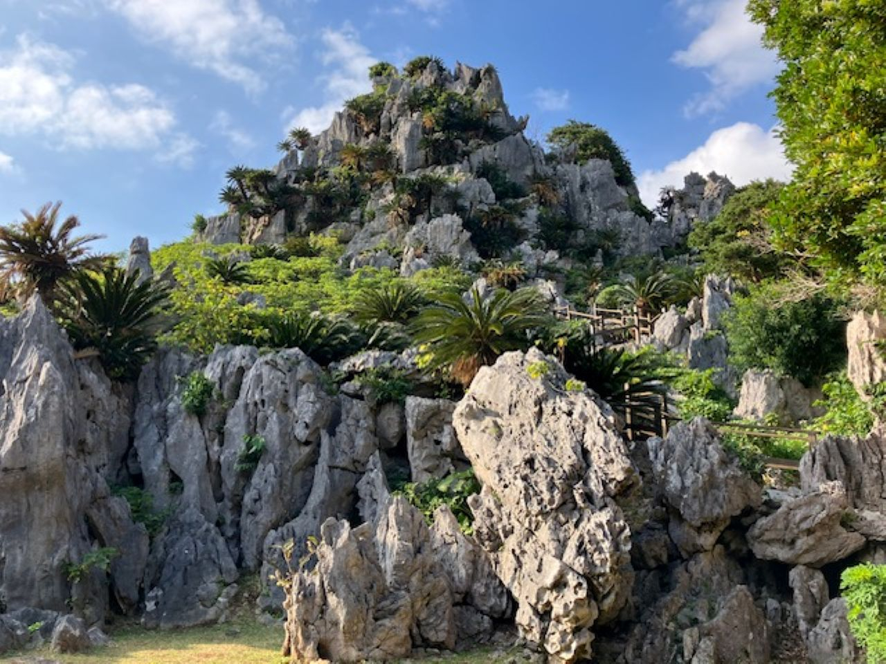 ASMUI Spiritual Hikes�i�� ��ΗюR�j�I�̗͂ɍ��킹��3�R�[�X�̒�����n�C�L���O���y��������p���[�X�|�b�g�Ƃ��Ă��L���ł��B