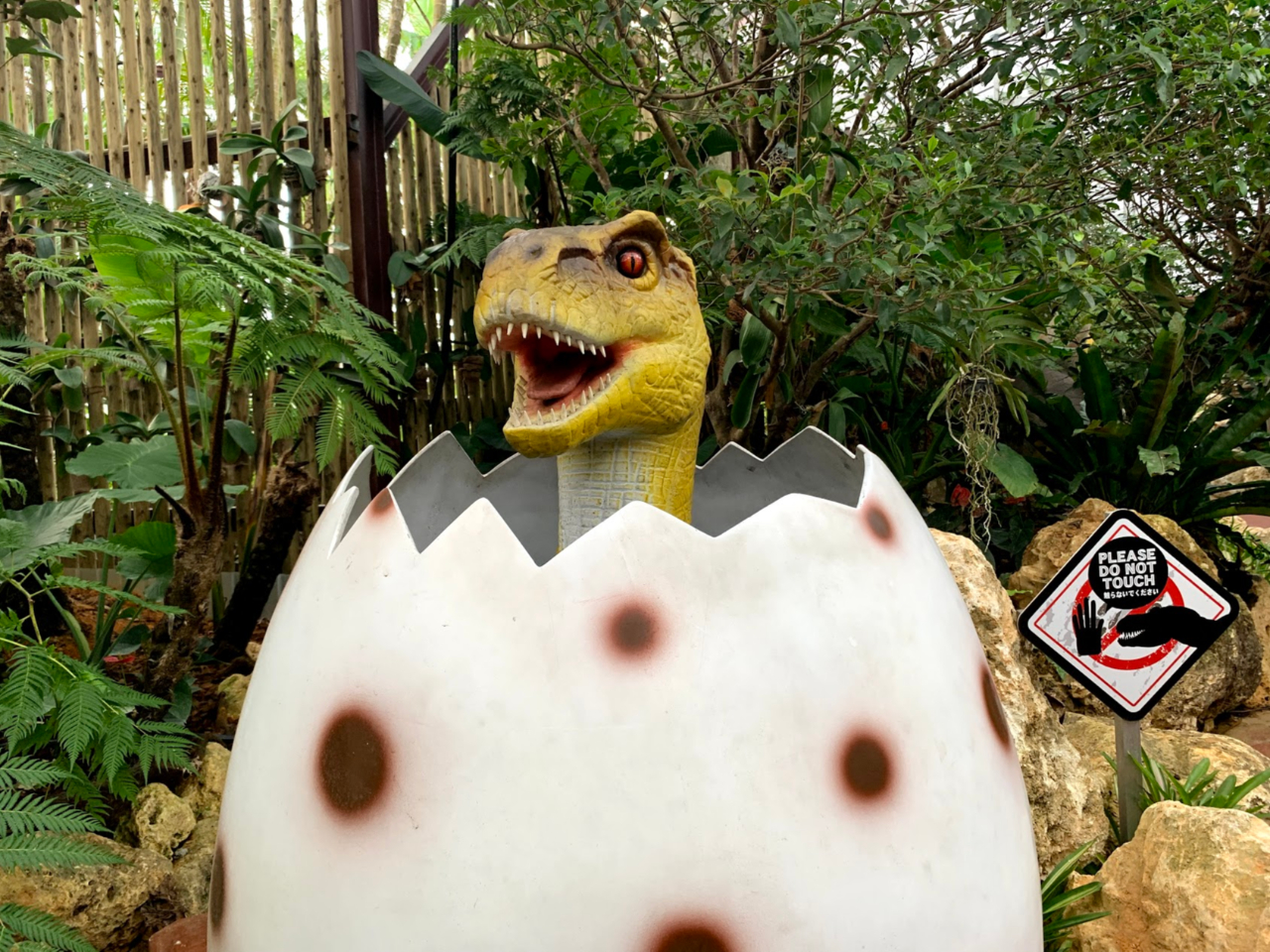 iSpCibvp[N2019Nɓoꂵw_Ci\[Ahx`[cA[x