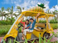 ナゴパイナップル園内をカートで散策♪