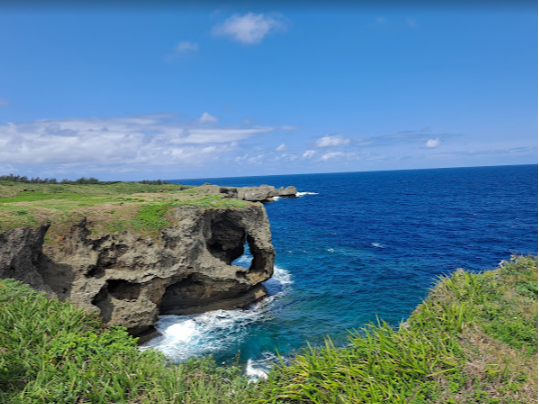 CƒfRǂ̃RgXgLi|Cg͂uۂv͕KI