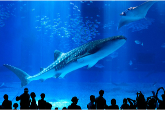 Eő勉̋吅猩WxCU}^͈I