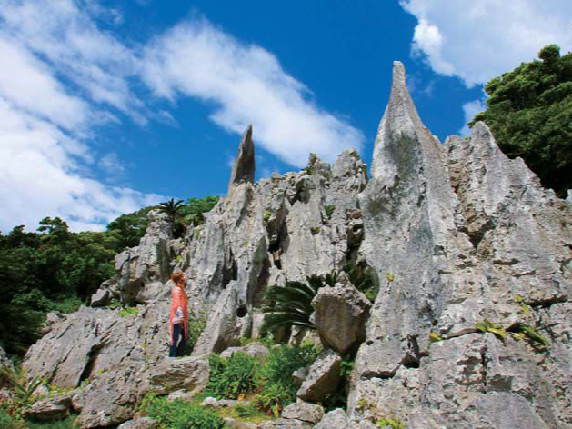 ASMUI Spiritual Hikesi ΗюRjI̗͂ɍ킹4R[X̒nCLOyp[X|bgƂĂLłB