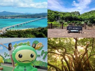 アスムイ、古宇利島、シークワァサーパーク