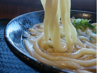 うどん作り体験 のどごしつるつるの讃岐うどんと関西風うどんだしを作ろう 一屋 Hajimeya じゃらん遊び体験