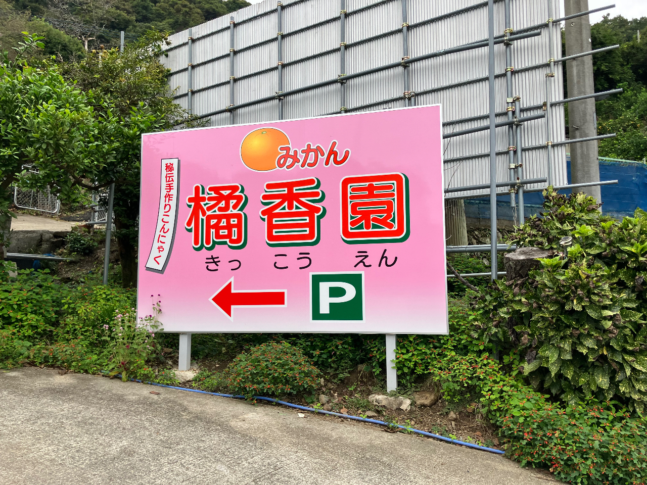 2025年度!<小林みかん山>橘香園(きっこうえん)でみかん食べ放題!お土産付き...