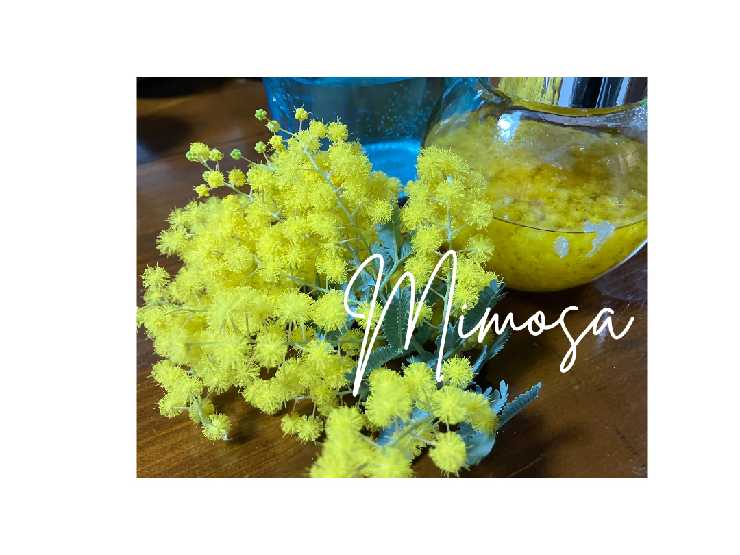 ~Ũ`Lx[Xɍ쐬鎖ł܂?Bق̂ɂ₳A~U̍܂傤?