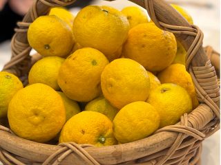 高知県産の無農薬ゆず