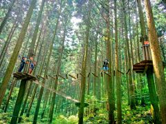 全国のアスレチック フィールドアスレチック等 ランキングtop10 じゃらんnet