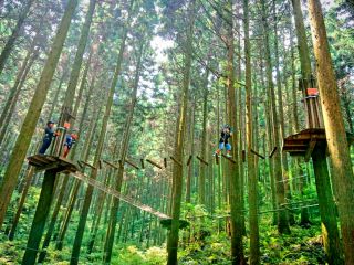 大自然たっぷりの中でお子様もたっぷり楽しめます♪