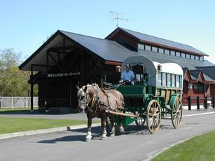 引き馬体験+山花温泉リフレ温泉入浴セットプラン