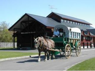 初心者向けのメニューとして体験乗馬体験や初級者乗馬指導、馬車、ホーストレッキングなどをご用意しています。