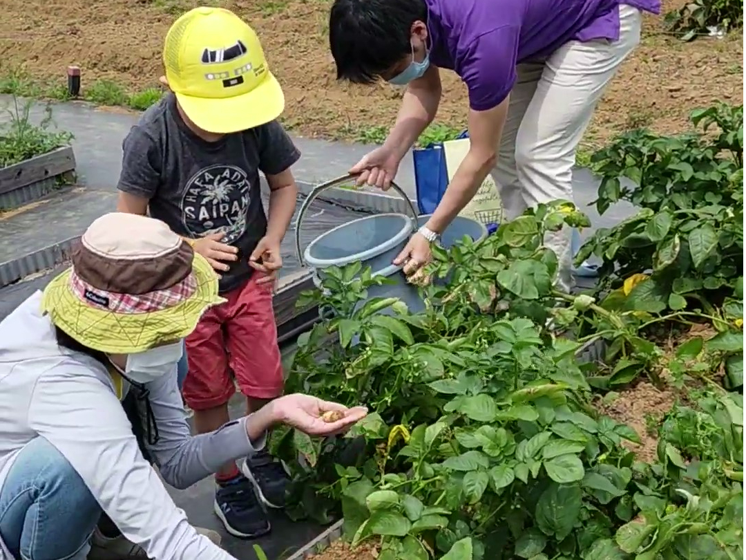 �����ȃW���K�C�������������I