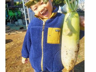 大きなダイコンを引っこ抜きました。やったー!