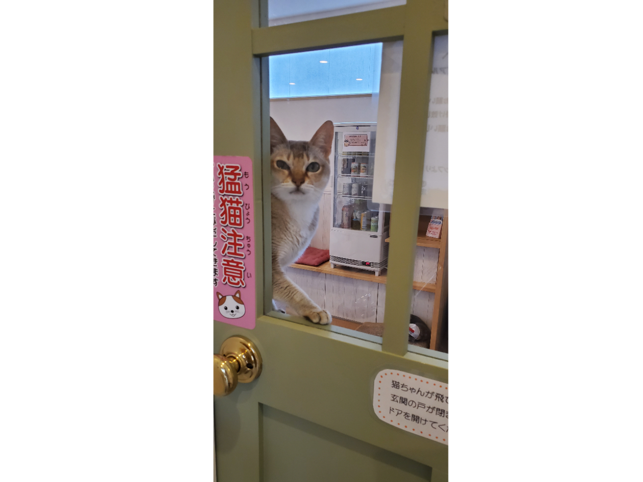 ��������Ⴂ�܂��`�j�������l�ł����`