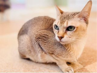 清潔感にこだわった広々と明るい店内でお待ちしています♪