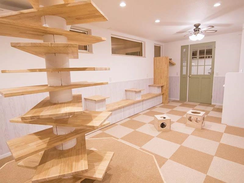 【☆30分間☆特典付き♪じゃらん限定プラン!】明るく開放的な猫カフェで癒しのひと...