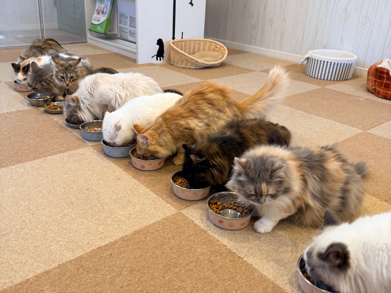 ���������^�C��