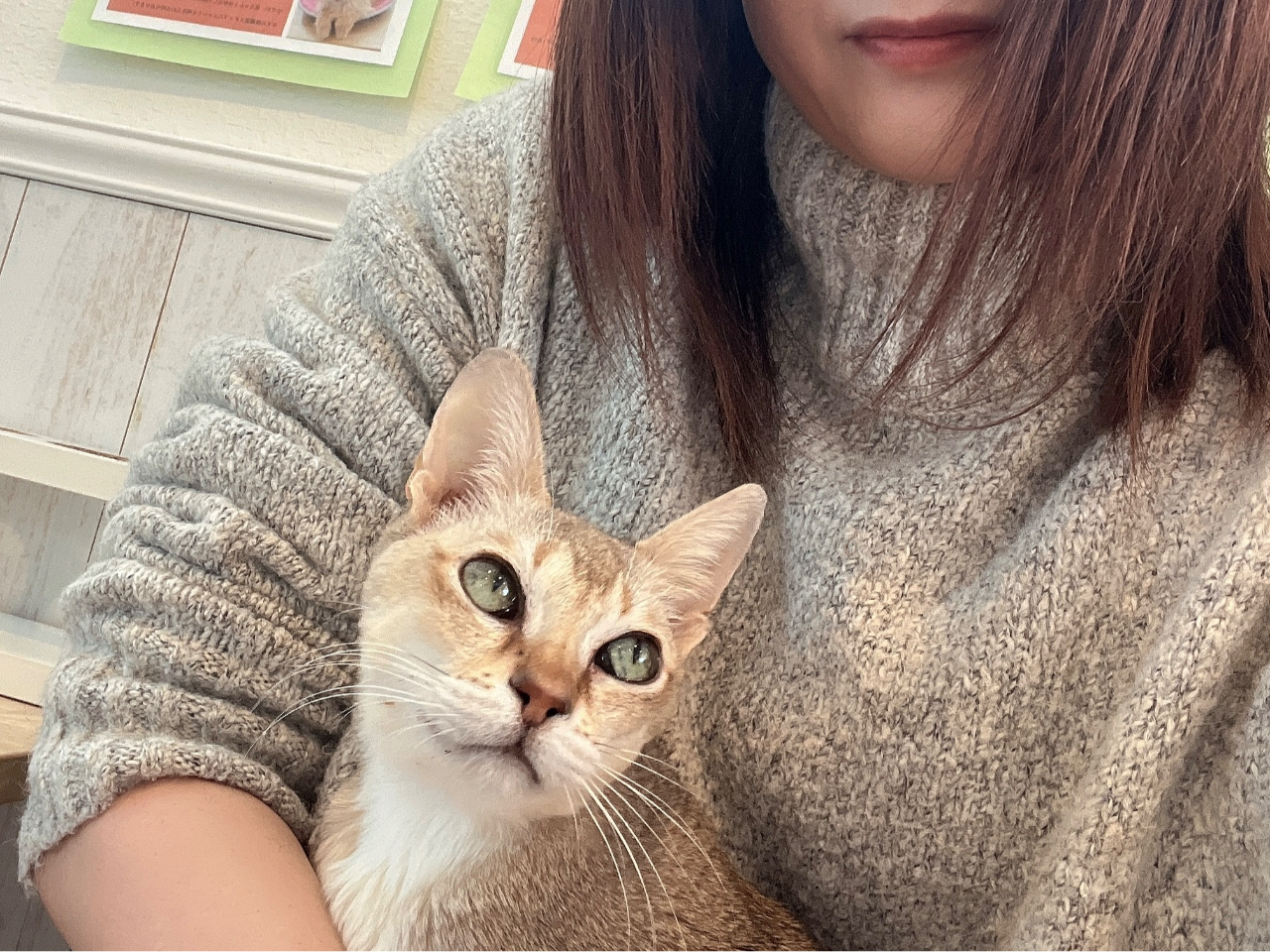 ���G��D���L���T����